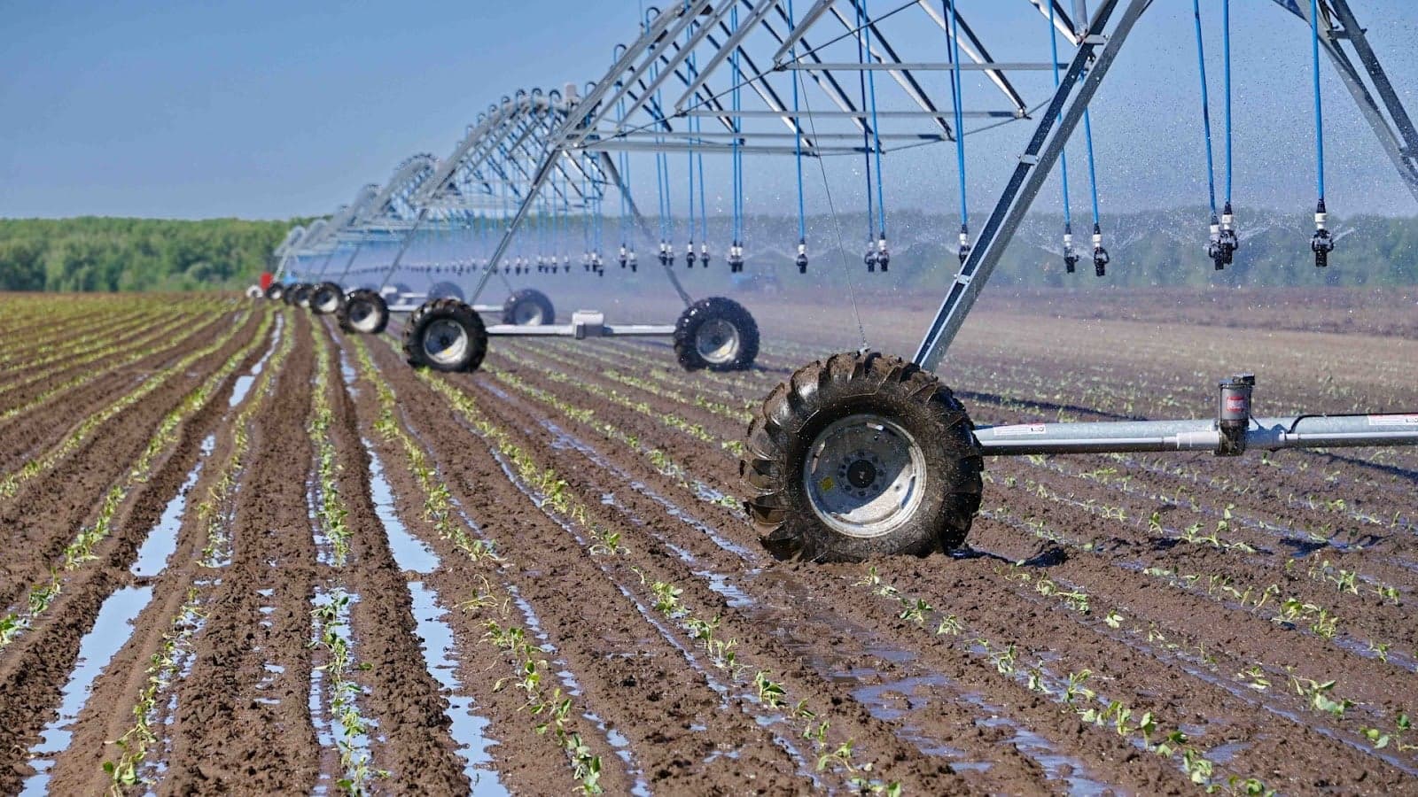 Expert Drainage Services in Springtown , TX for Healthy Lawns &amp; Gardens