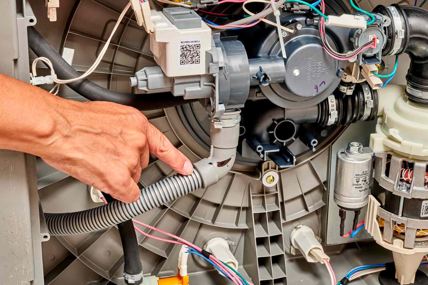Emergency Edmonton Dishwasher Repair When You Need It