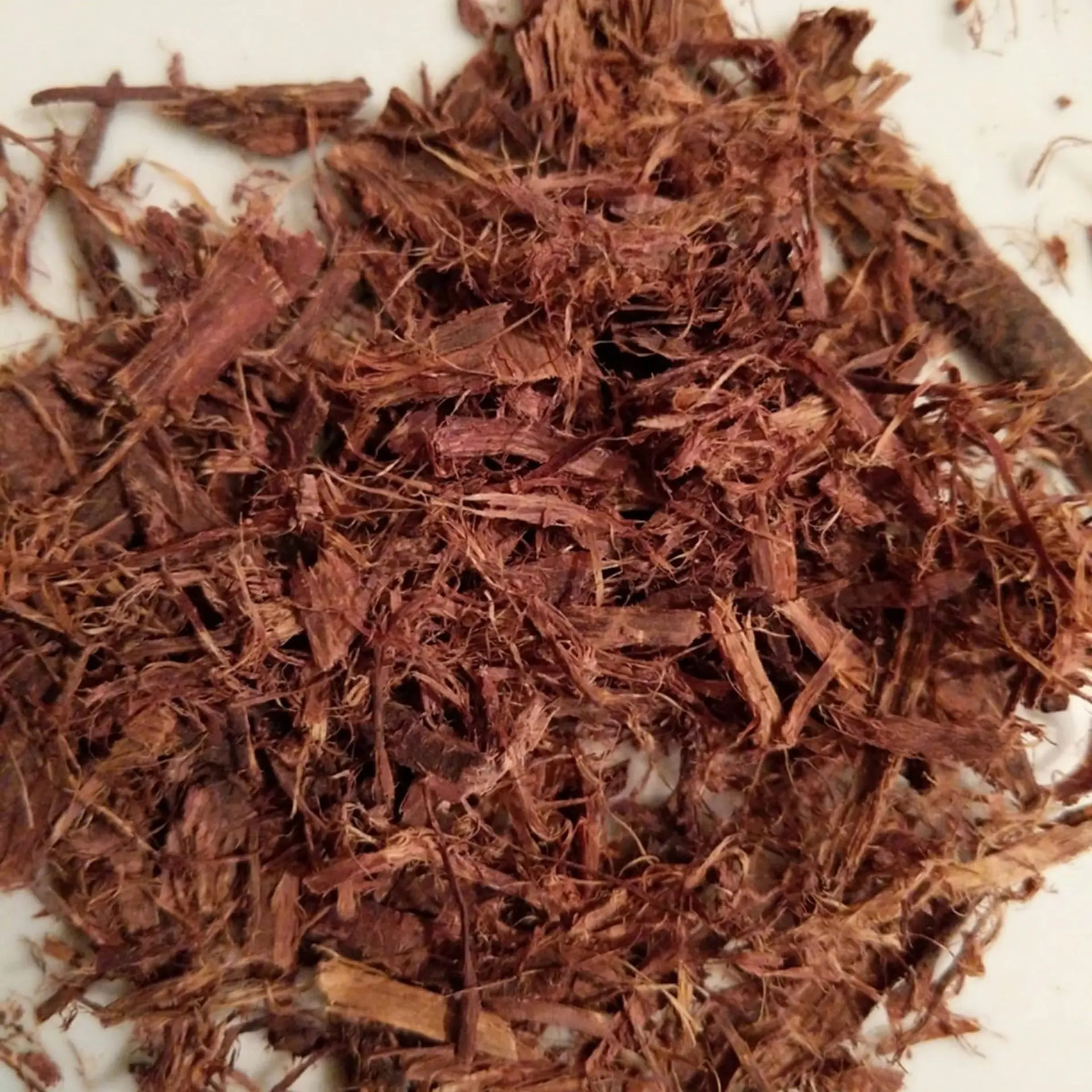 Achieving Bold Shades with Logwood Dye Techniques