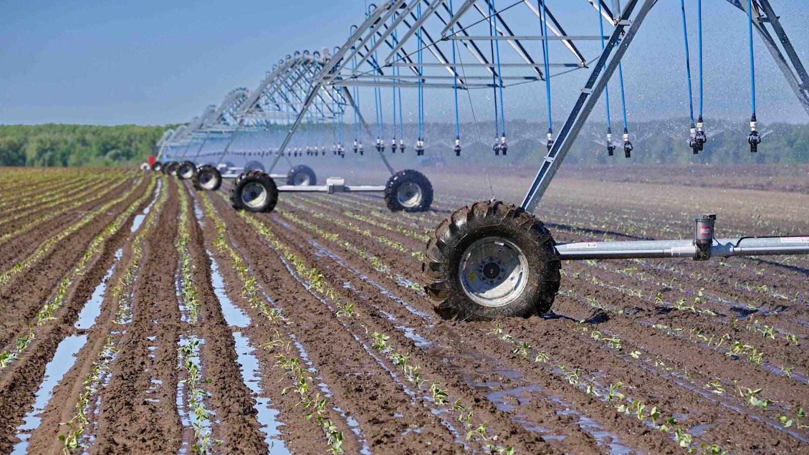 Expert Drainage Services in Springtown , TX for Healthy Lawns & Gardens